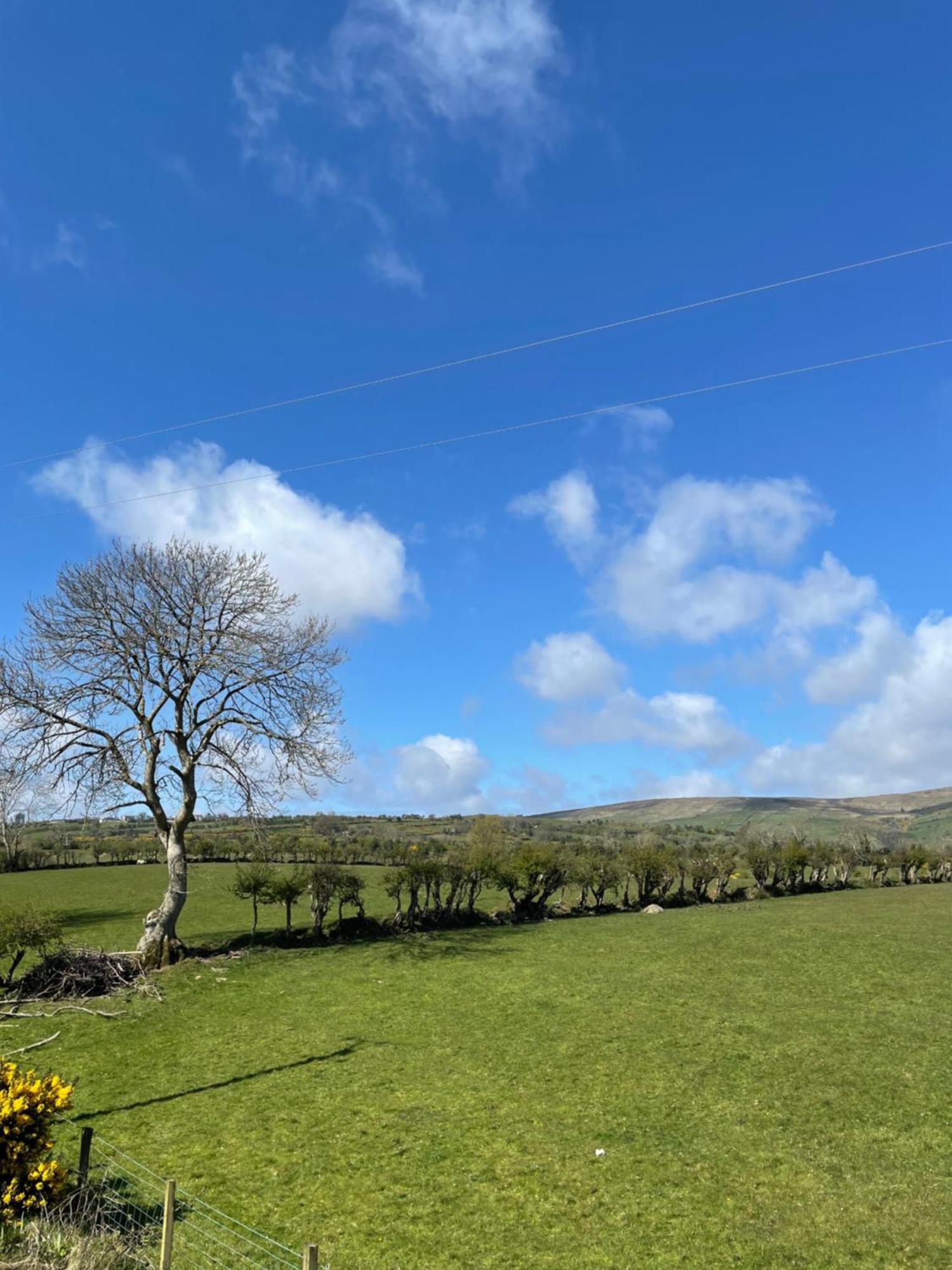 Mobile Holiday Home Cushendall Zewnętrze zdjęcie